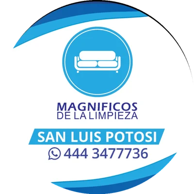 Magníficos de la Limpieza